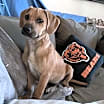 Thumbnail photo of Rizzo #4