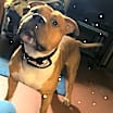 Thumbnail photo of Tank #2
