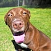 Thumbnail photo of Gunner #1