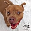 Thumbnail photo of Skylar #1