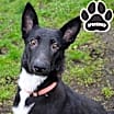 Thumbnail photo of Millie #1