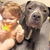 Thumbnail photo of Meatball #1