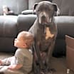 Thumbnail photo of Meatball #3