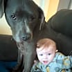 Thumbnail photo of Meatball #4