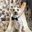 Thumbnail photo of RUBERT (OP_3123) FLORIDA #1