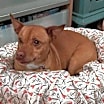 Thumbnail photo of Candy #3