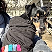 Thumbnail photo of Maddox #1