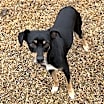 Thumbnail photo of Maddox #2