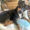 Thumbnail photo of Maddox #3