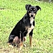 Thumbnail photo of Maddox #4
