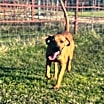 Thumbnail photo of Abbott #1