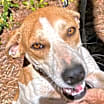 Thumbnail photo of Ellie Mae #2