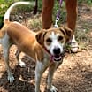 Thumbnail photo of Ellie Mae #3