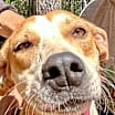 Thumbnail photo of Ellie Mae #4