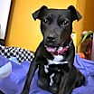 Thumbnail photo of Eve #1
