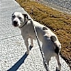 Thumbnail photo of Skylar #3