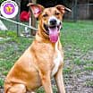 Thumbnail photo of Cooper #1