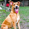 Thumbnail photo of Cooper #3