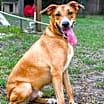 Thumbnail photo of Cooper #4