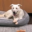 Thumbnail photo of Olaf #1
