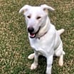 Thumbnail photo of Olaf #3