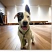 Thumbnail photo of Genevieve #2