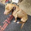 Thumbnail photo of Birdie #2