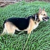 Thumbnail photo of Maybel #1