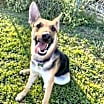 Thumbnail photo of Maybel #3