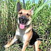 Thumbnail photo of Maybel #4