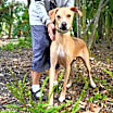 Thumbnail photo of Link #2