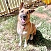Thumbnail photo of Sammie #1
