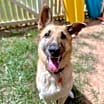 Thumbnail photo of Sammie #2