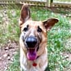 Thumbnail photo of Sammie #3