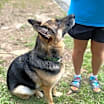 Thumbnail photo of Lulu #3