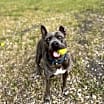 Thumbnail photo of Lola #2