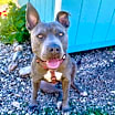 Thumbnail photo of Lola #4
