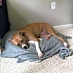 Thumbnail photo of Frankie 16 #3