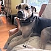 Thumbnail photo of Grayson #2