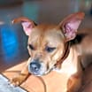 Thumbnail photo of Nyla Edwards #3
