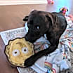 Thumbnail photo of Nubs #3