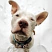 Thumbnail photo of Casper #1
