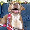 Thumbnail photo of Muffin #3
