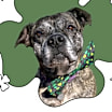 Thumbnail photo of Janis #2