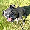 Thumbnail photo of Janis #3