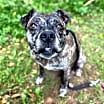 Thumbnail photo of Janis #4