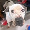 Thumbnail photo of Abner  #1