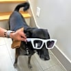 Thumbnail photo of Hellen #2