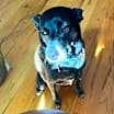 Thumbnail photo of Hellen #3