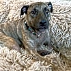 Thumbnail photo of Ella Rae #2
